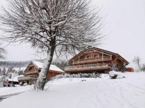 Chalet de Lucie, Champ du feu, Luxe, 5 étoiles, 5 ch. 14 personnes